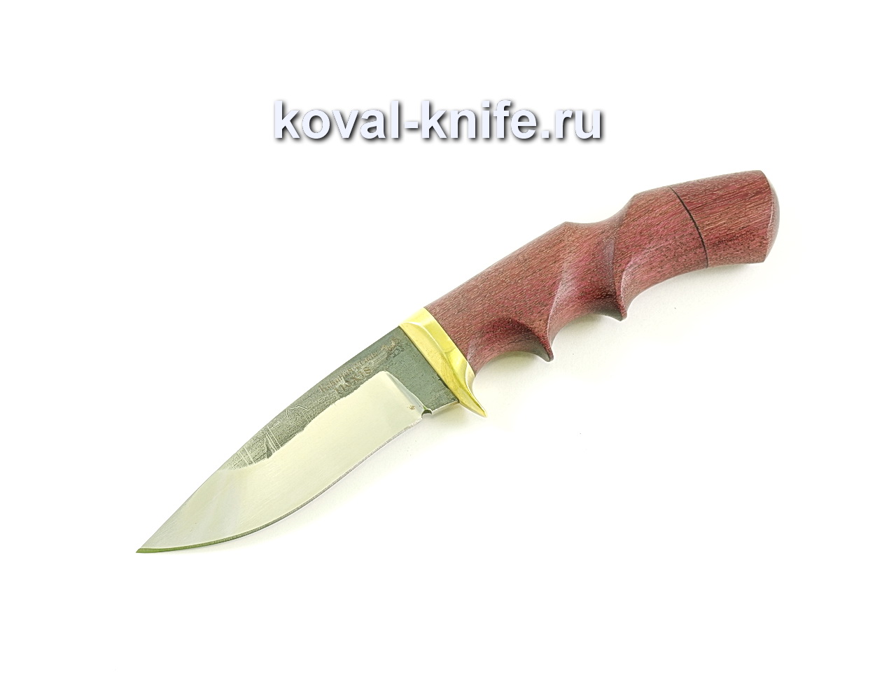 Knife Peregrine Falcon (steel110x18), amaranth handle, cast A031