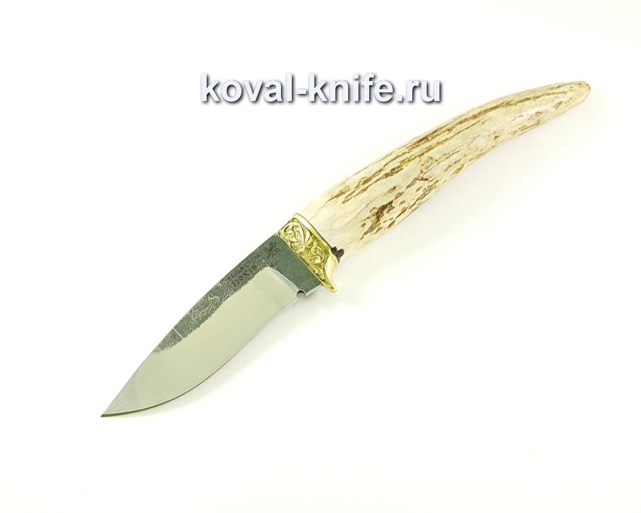 Peregrine Falcon knife (steel 110×18), moose horn handle, cast A032