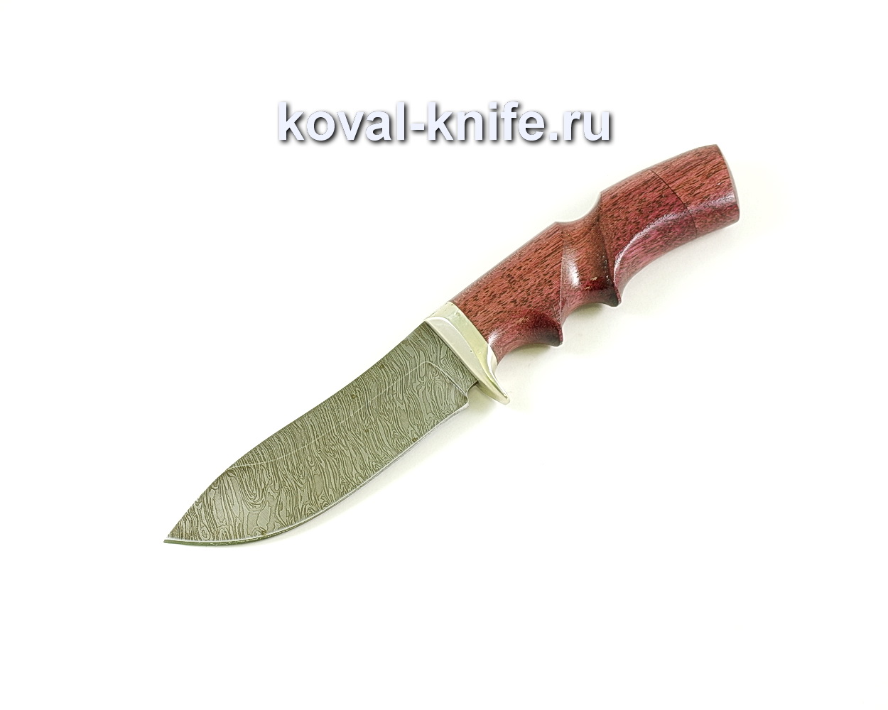 Knife Wild boar (Damascus steel), handle paduk, casting A067