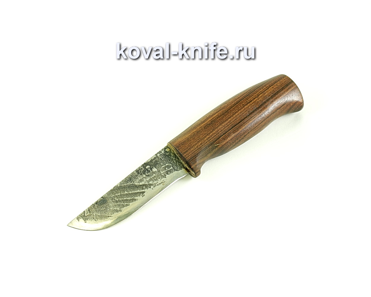 Squirrel knife (steel 9hs), handle walnut A104