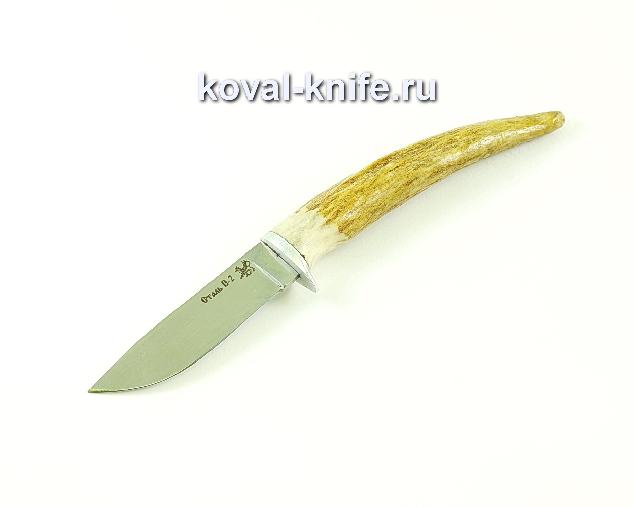 Knife Mushroom picker (steel D2), hilt handle A124