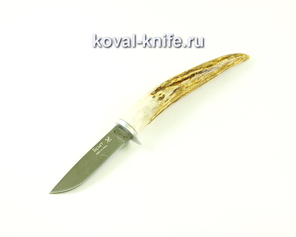 Knife Mushroom picker (steel Damascus steel), hilt of a moose horn A145