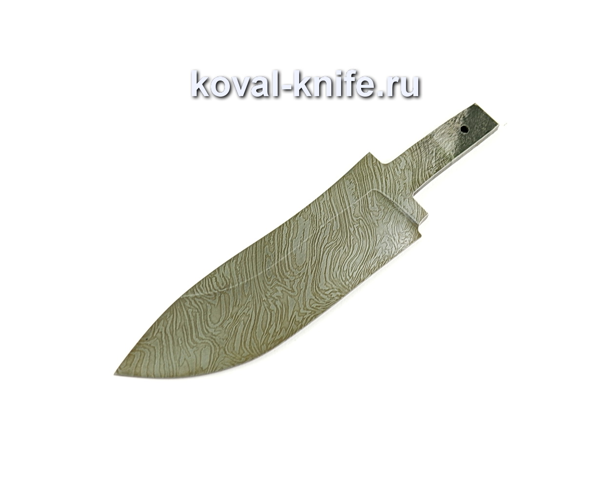 Wild Boar Blade (Damascus Steel)