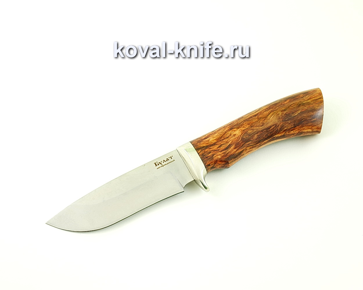 Damask steel knife Sapsan (Alloy damask steel, handle stabilized Karelian birch, cast nickel silver) A482