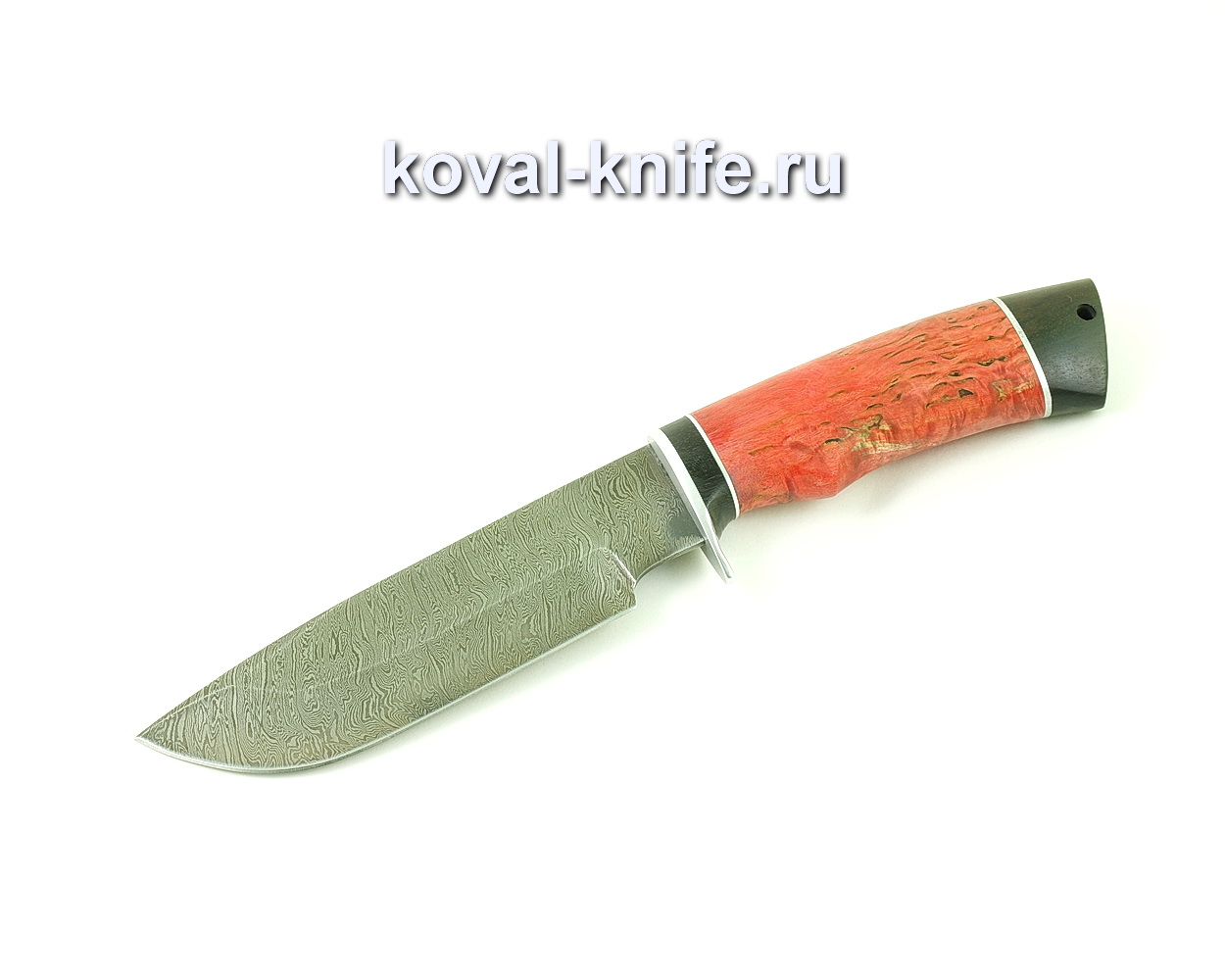 Damascus steel knife Bars (stabilized handle Karelian birch and hornbeam) A494