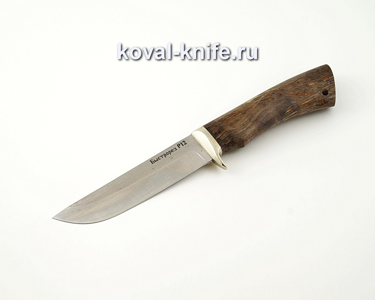 Squirrel knife from R12M quick cutter with a handle from stabilized Karelian birch, garda cupronickel A523