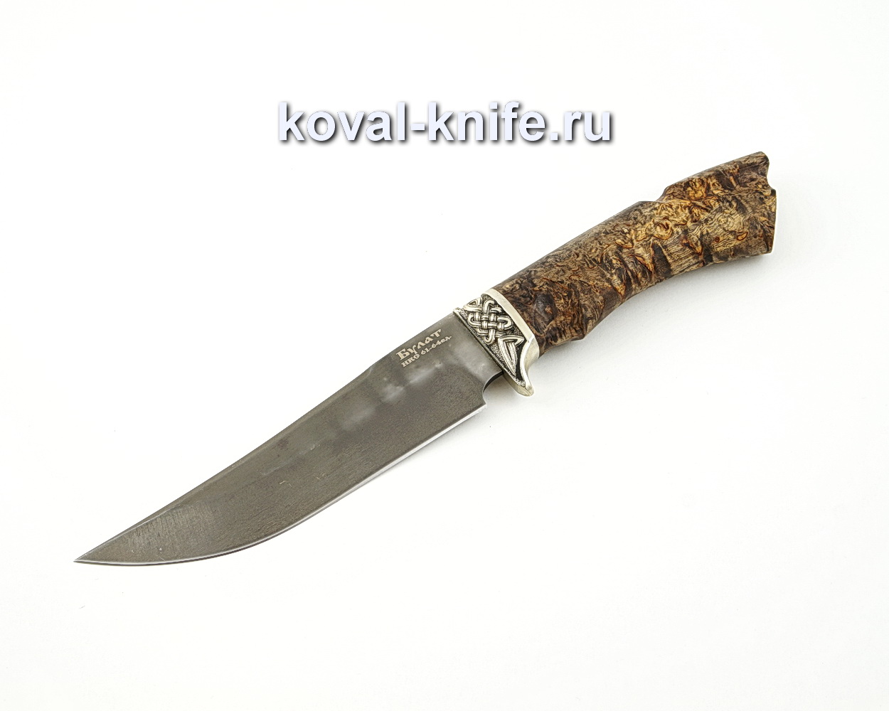 Orlan knife from powder steel M390 with a handle from a black hornbeam, garda cupronickel A527