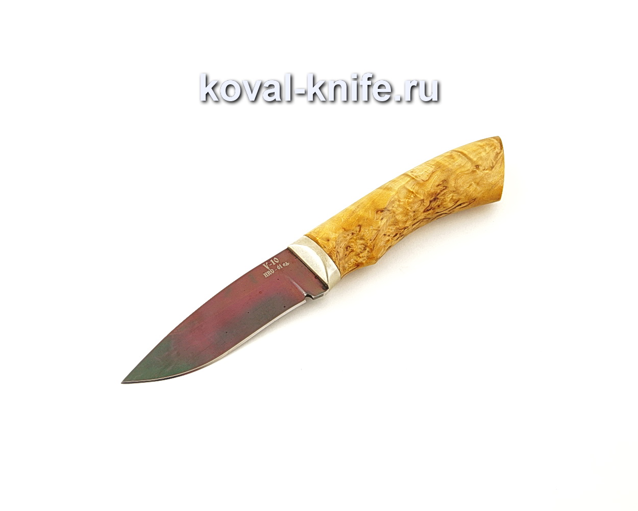 Peregrine Falcon knife U10 forged steel with a handle from Karelian birch A651